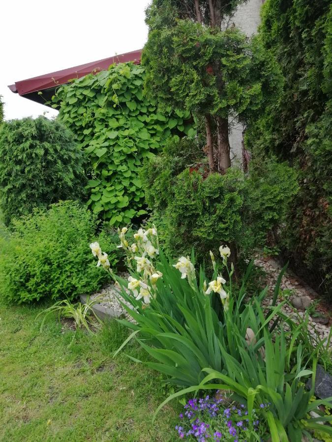 Mv Apartamenty Komfort Augustów Exteriér fotografie